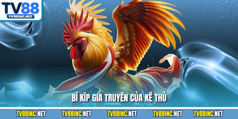 Bí kíp gia truyền của kê thủ